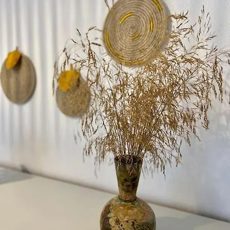 Dall'egeo παραδοσιακό κυκλαδίτικο σπίτι Σπίτι διακοπών *